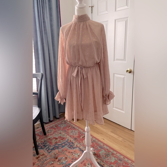 She + Sky Blush & Gold Long sleeve Dress Size S - Picture 3 of 11